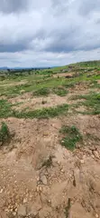 Filin Estate 500SQM tare da C of O, Pyakasa - 2