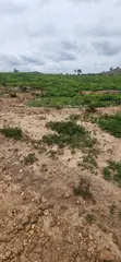 Filin Estate 500SQM tare da C of O, Pyakasa - 3
