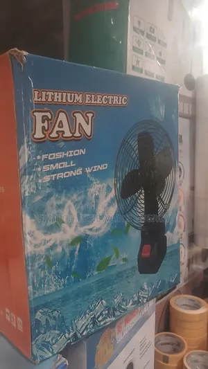 Lithium Electric Fan 24V