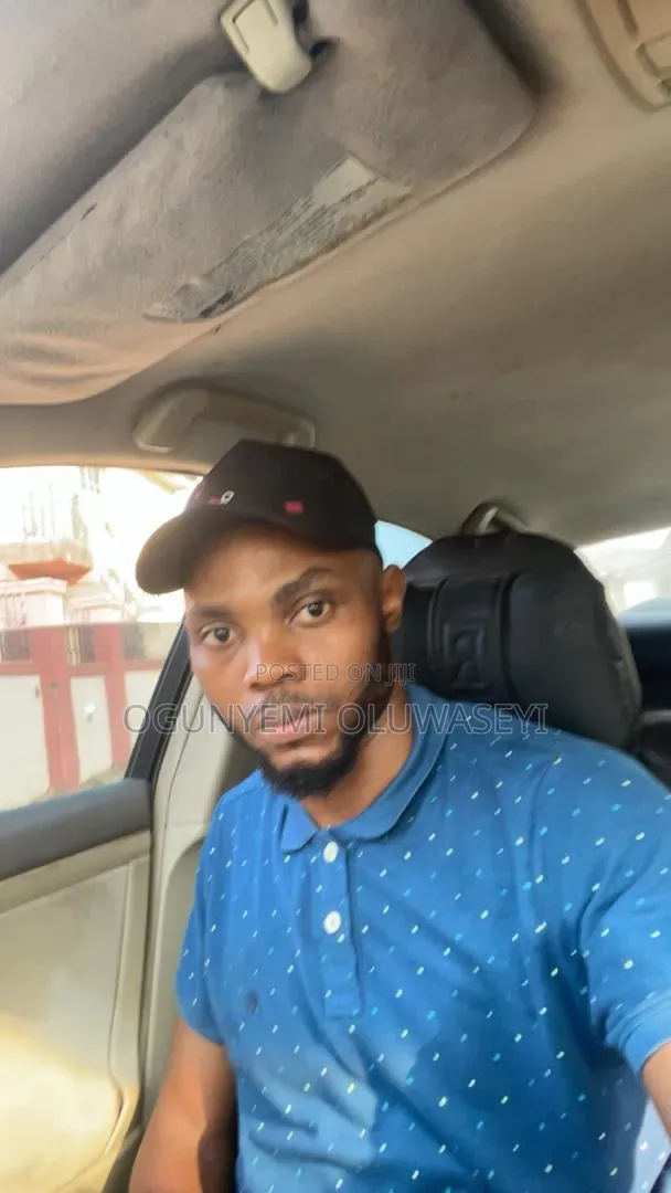 Professional Driver - Experienced & Responsible - 1