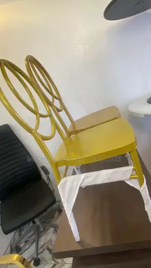 Iron Dior Chair - Big Size, Brand New
