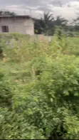 Customary Land for Sale, 100x50ft, Dutse Alhaji, FCT Abuja - 2