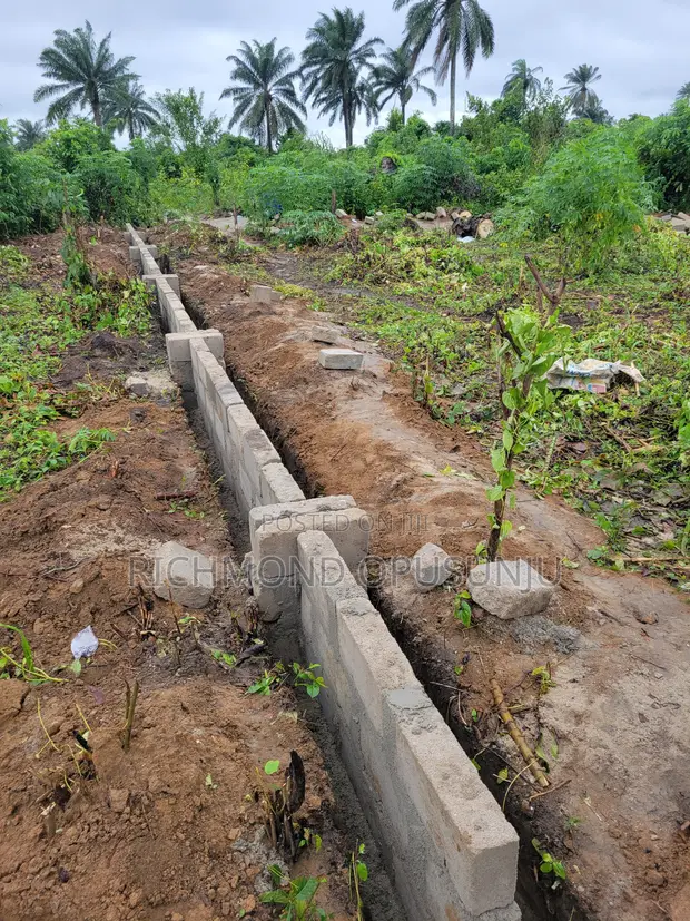 Filin Daga don Siyarwa - Umuwei Igwuruta - 1