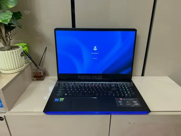 MSI Raider GE76 12UGS Laptop: Intel Core i7, 32GB RAM, 1TB SSD, RTX 3060 - 1