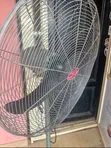 OX Fan 26-Inch - Mai Tsarki, Sayarwa Gaggawa - 1