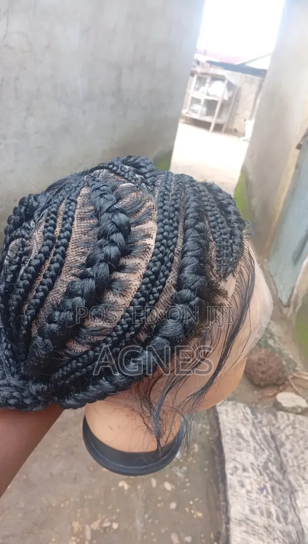 Braided Wig - Ready for Pickup - 1