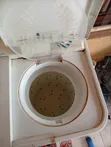 Haier Thermocool Top Load Washing Machine - 4