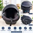 Quality Baby Car Seat Carrier - Infant to Toddler - 1