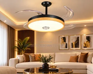 Modern Interior Fan Chandelier Lamp Light