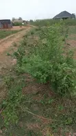 Residential Land for Sale - Ado-Odo/Ota - 1
