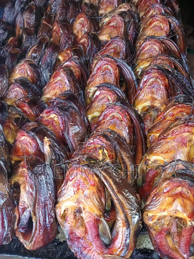 Smoked and Dry Catfish (5kg) - 1