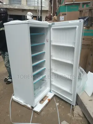 LG Upright Freezer 304L (GN-304SQBR)