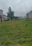 Half Plot of Land for Sale in Agodo Egbe, Ikotun - 1