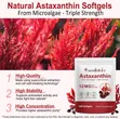 Astaxanthin 12mg Mai Kariyan Jiki, Anti-Aging, Lafiyar Koda - 1