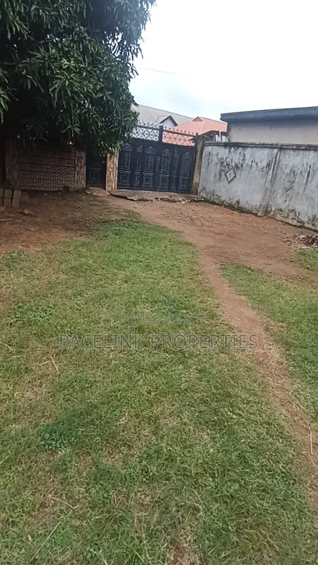 1 Bedroom Room & Parlour Self-Contain for Rent in Ayobo - 1
