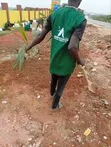 Sabis na Shirya lambu da Noma ta Akinpelu Farms - 3