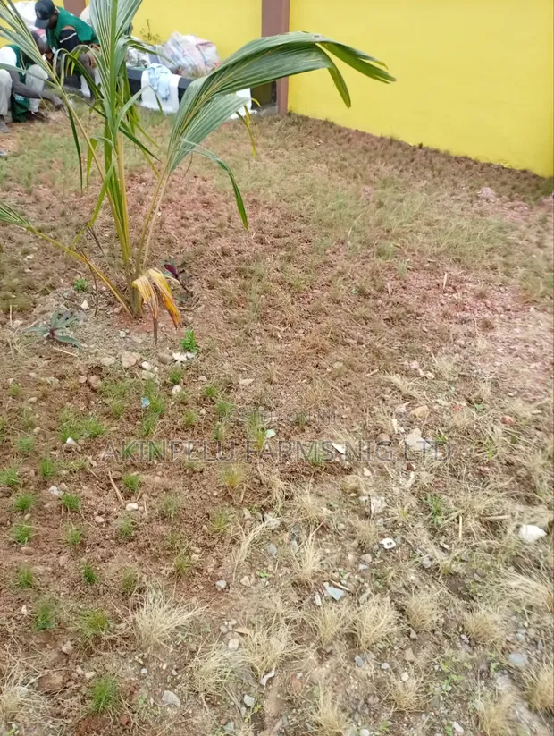 Landscaping Services: Design, Installation & Maintenance - 1