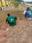 Landscaping Services: Design, Installation & Maintenance - 2