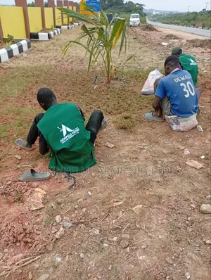 Landscaping Services: Design, Installation & Maintenance