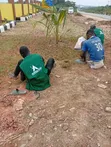 Landscaping Services: Design, Installation & Maintenance - 3