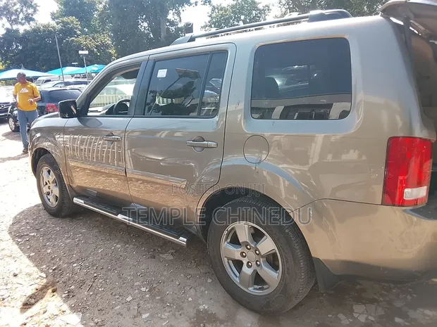 Honda Pilot 2010 Brown - 1