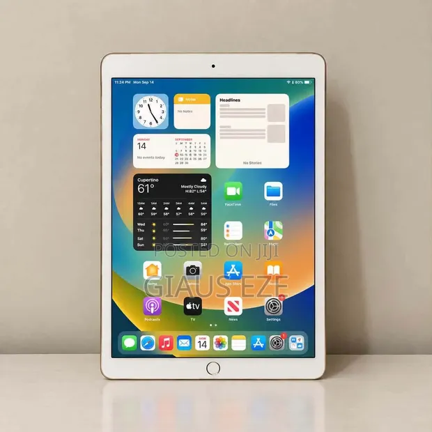 Apple iPad Wi-Fi 128GB - 1