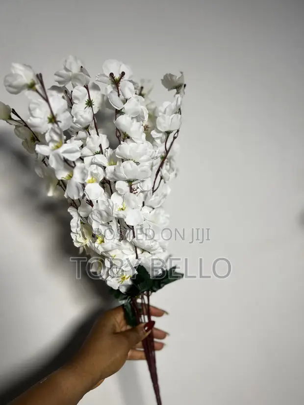 Cherry Blossom Flowers for Rent - 1