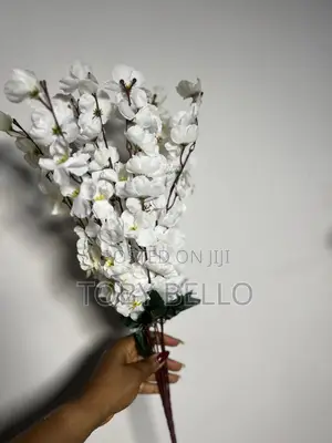 Cherry Blossom Flowers for Rent