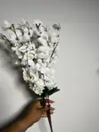 Cherry Blossom Flowers for Rent - 1