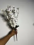 Cherry Blossom Flowers for Rent - 2