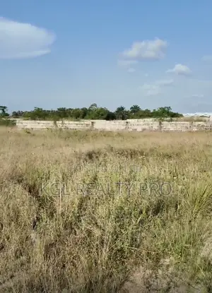 Filin 500sqm na Sayarwa a Ibeju-Lekki (Farashi na Gaggawa)
