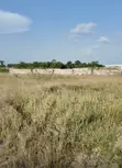 Filin 500sqm na Sayarwa a Ibeju-Lekki (Farashi na Gaggawa) - 4