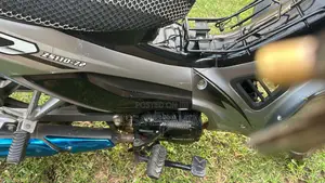 Qlink Reiz 110 Motorcycle 2025