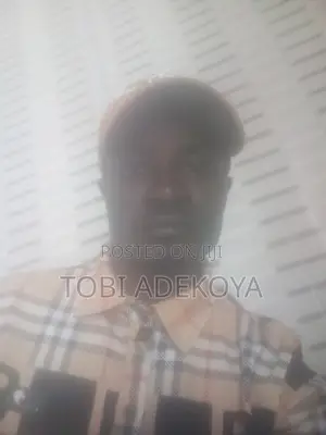 Manufacturing Operator & Team Leader CV - Tobi Adekoya