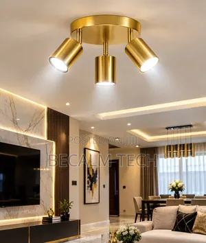 Luxury Ceiling Light for Parlour/Living Room