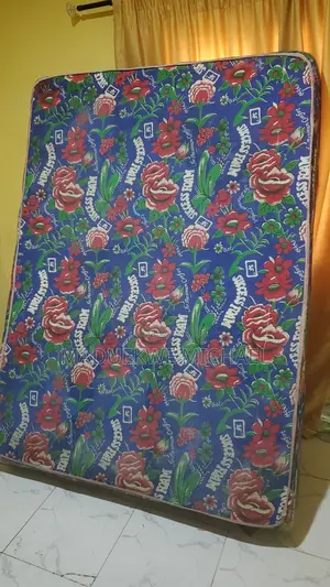 12-Inch Foam Mattress (6x4)