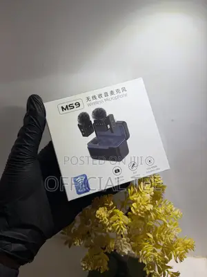 Worldking Wireless Microphone