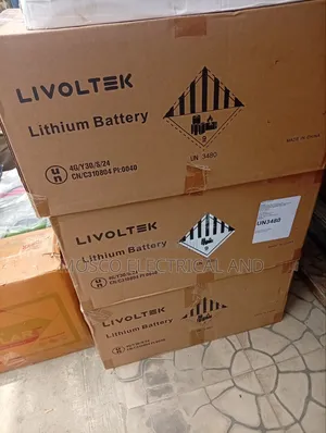 Livoltek 2.5kWh 24V Baturin Rana na Lithium Ion