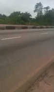 53 Acres Land Facing Sagamu-Abeokuta Expressway, Adedero - 2