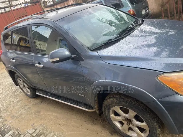 Toyota RAV4 2010 Blue - 1
