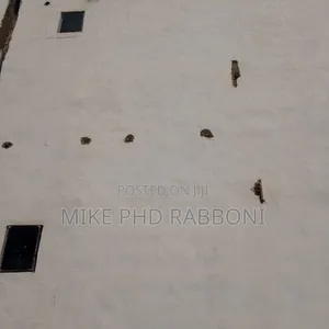 Two-Story Plaza for Rent - Banking/Business - NGN 60M Yearly