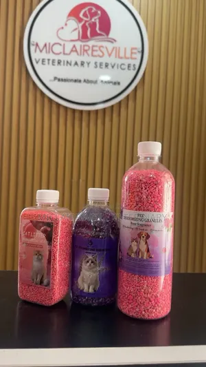 Portable Pet Water Bottle