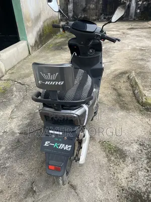 Electric Scooter 2025 Gray