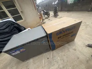Skyrun BD-300HNW 300L Chest Freezer