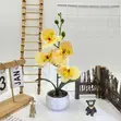 Flower Home and Wall Decor - 2