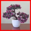 Flower Home and Wall Decor - 3