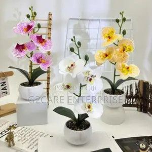 Flower Home and Wall Decor