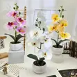 Flower Home and Wall Decor - 4