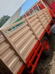 Nissan Cabstar 1999 Red Mini Truck - 3