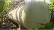 Used 35-Ton LPG Storage Tank (2 Units) - 4